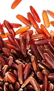 Riso rosso ermes integrale